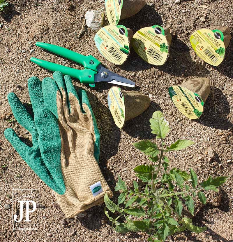 How to Start a Garden