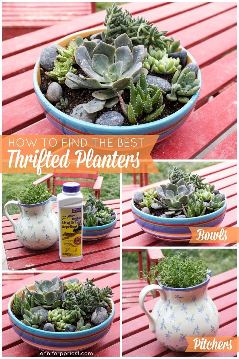 How to turn thrift shop finds into herb planters and succulent gardens - tips and tricks from Jennifer Priest.