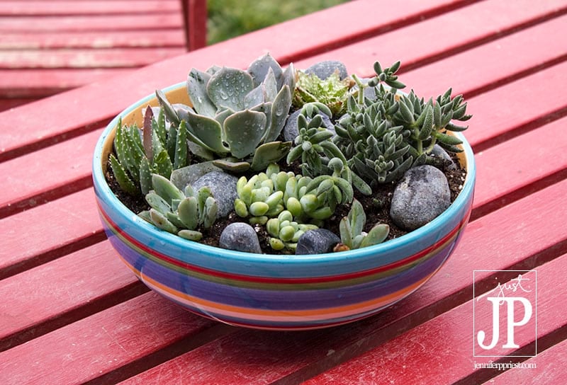 Bowl Succulent Planter Deseret Industries JPriest