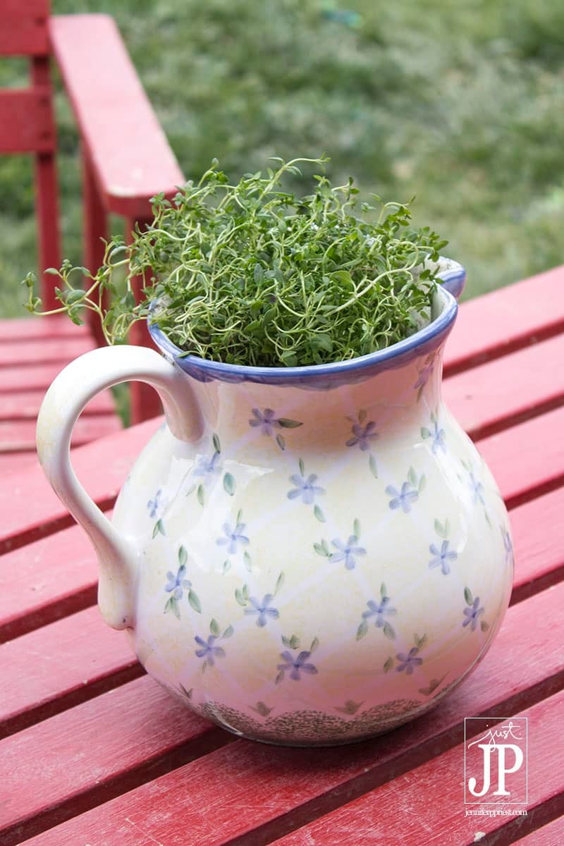 Use a pitcher to plant an herb garden - get pitchers for less than  at thrift shops like Deseret Industries.