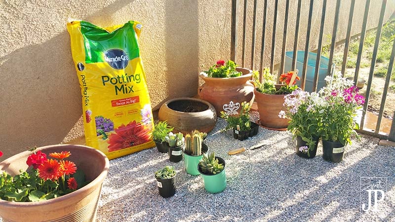 Potting plants with Miracle-Gro Potting Soils helps them grow better longer JPriest