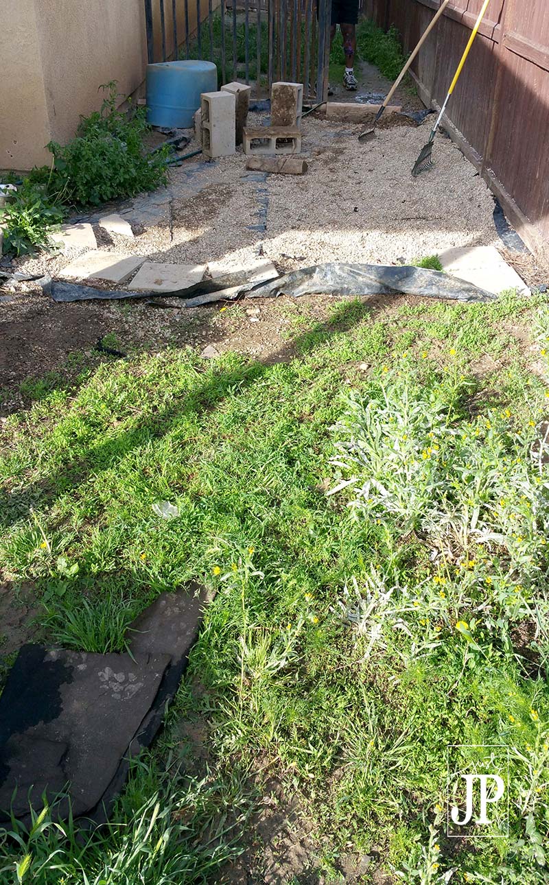 Side Yard - BEFORE JPriest