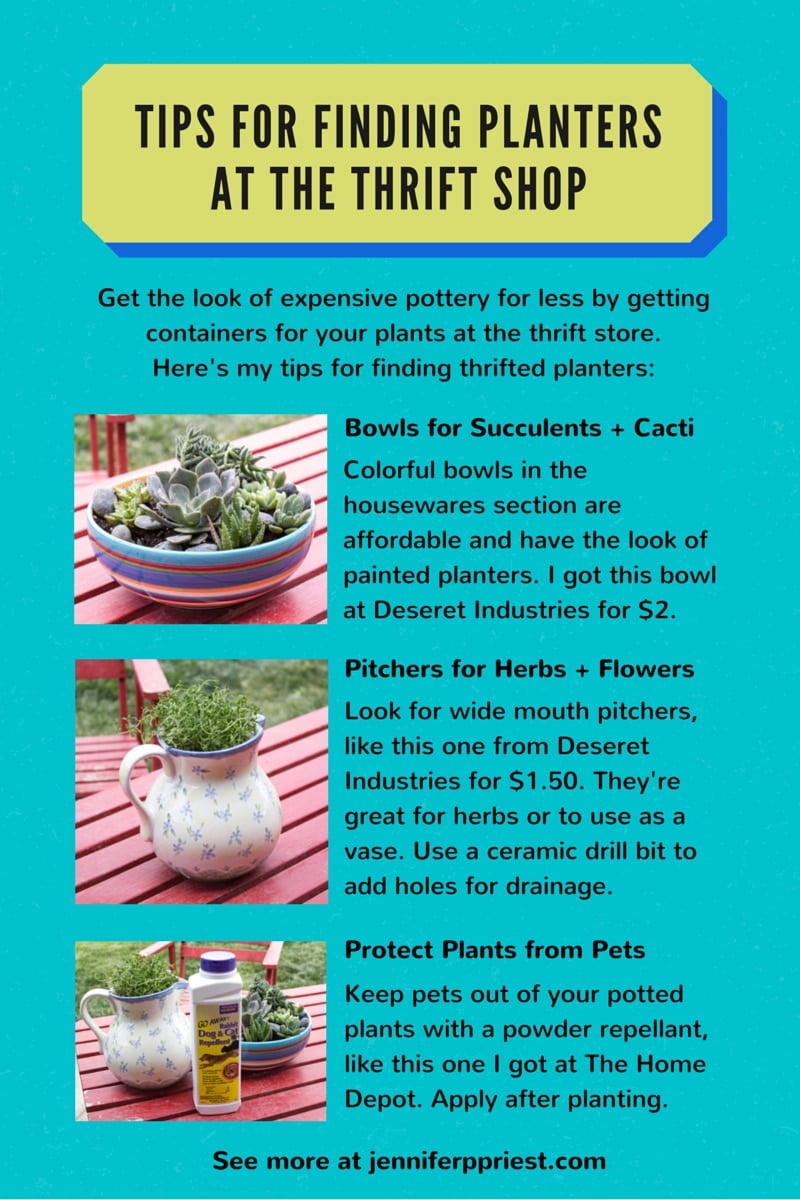 How to find planters at the thrift shop - make herb gardens and succulent bowls to give as gifts.