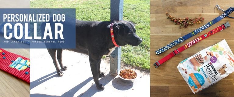Personalized DIY Dog Collar and Leash – Treat Your Pet!