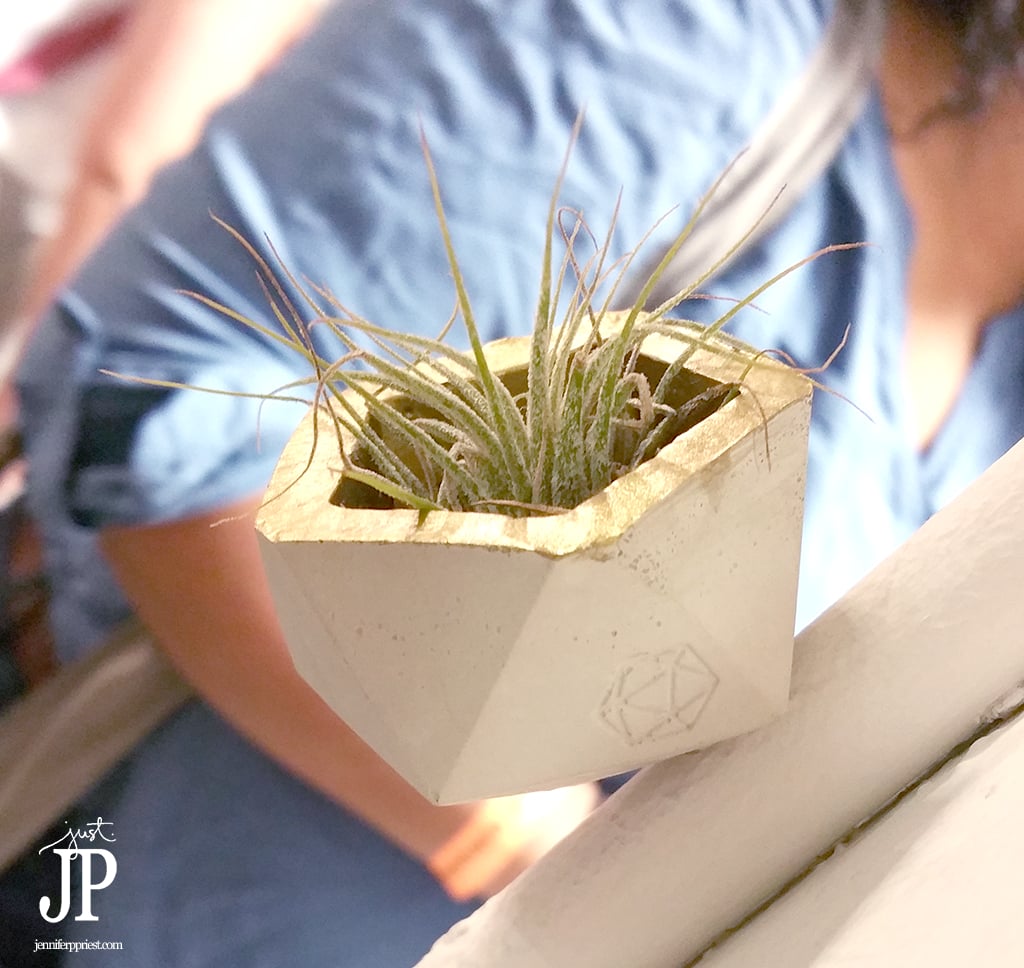 Airplants-in-concrete-at-UniqueLA-JPriest