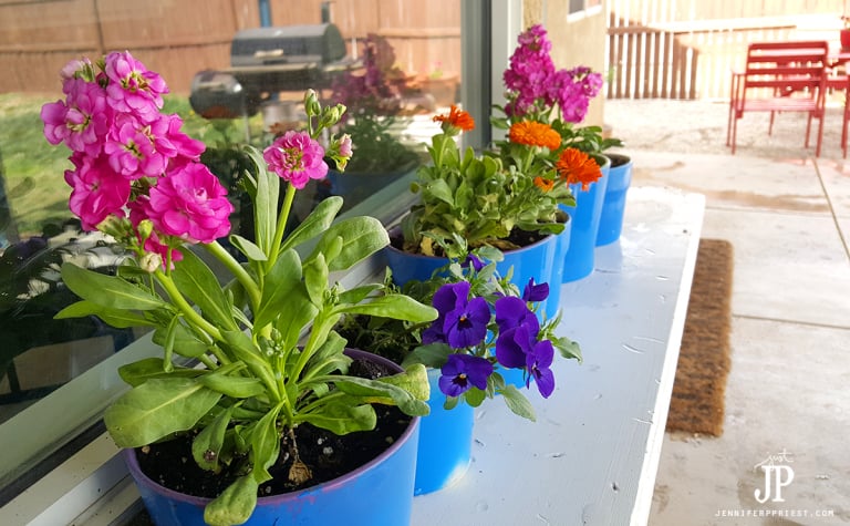 5 Tips for a Summer Ready Backyard in One Weekend! #LoveYourLawn