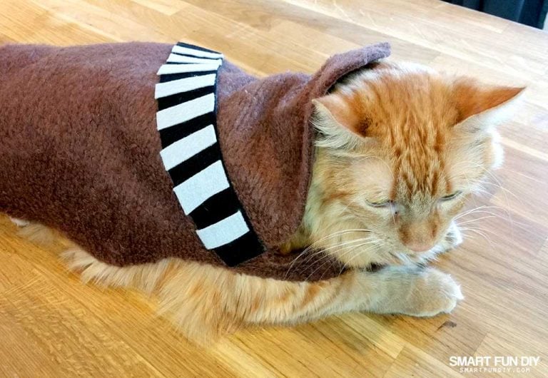 DIY Chewbacca Cat Costume