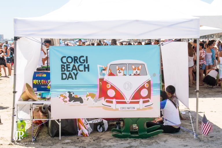 So Cal Corgi Beach Day – Saturdays in SoCal