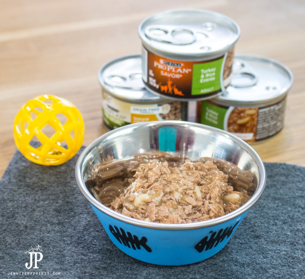 Purina-Pro-Plan-Cat-Food-jenniferppriest