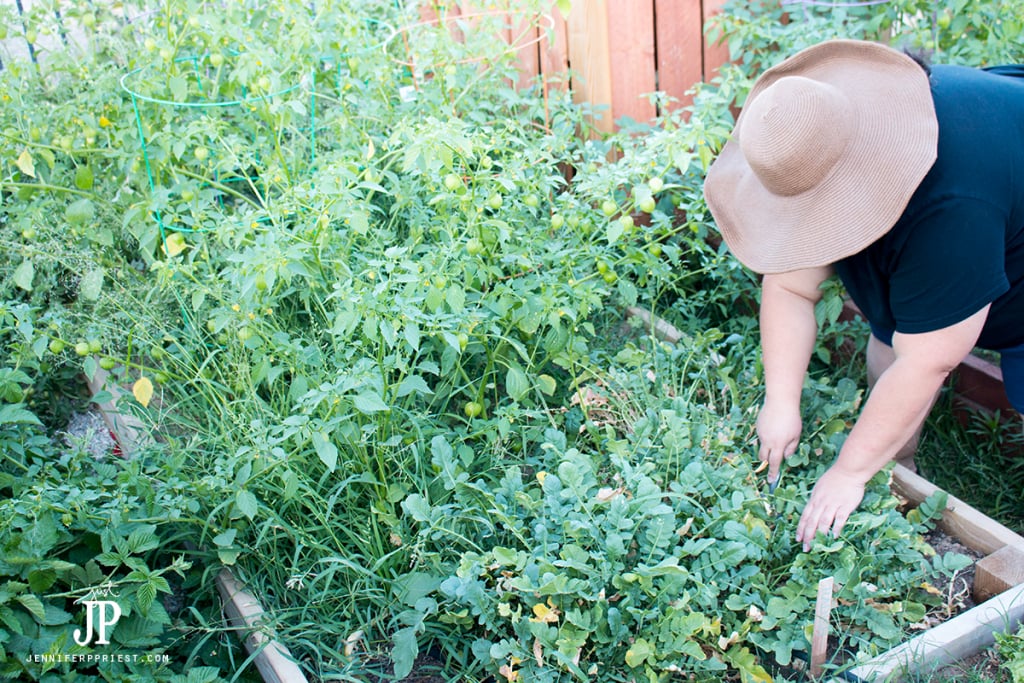 Use-Carefree-liners-when-gardening---avoid-seenzing-and-peeing-jenniferppriest
