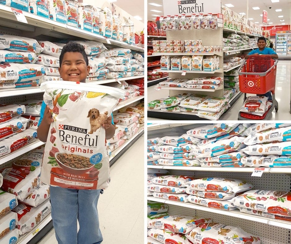 find-purina-beneful-at-target
