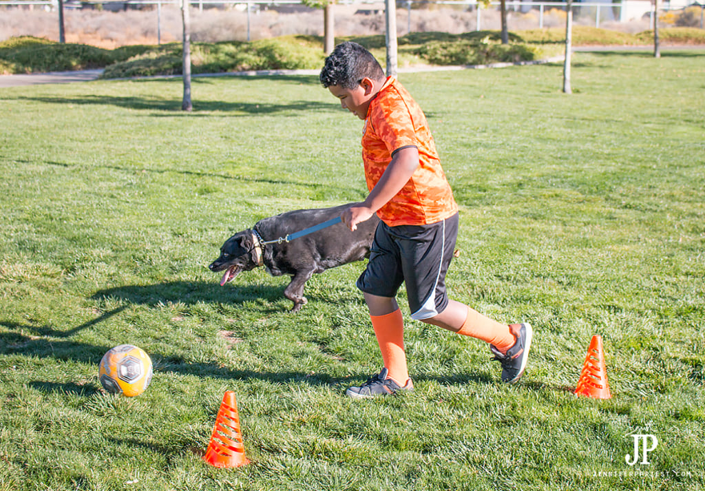 run-sprints-with-your-dog-playing-soccer-jenniferppriest