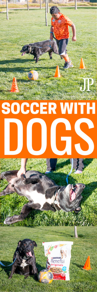 #Appetites4Life #AD Get active with your adventurous dog by playing soccer. 5 tips for making the most of your soccer sesh with @Purina Beneful Originals with Real Beef from @Target.
