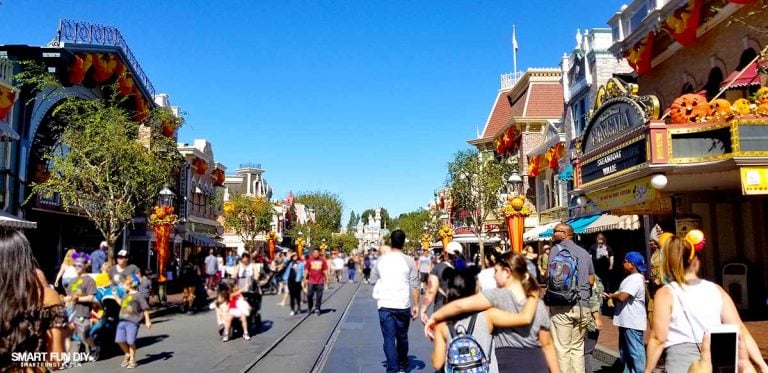 Taking the bus to Disneyland?!