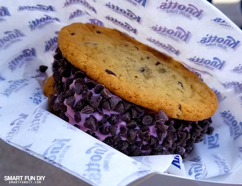 Boysenberry Soft Serve Ice Cream Cookie Sandwich with chocolate chips on the edge