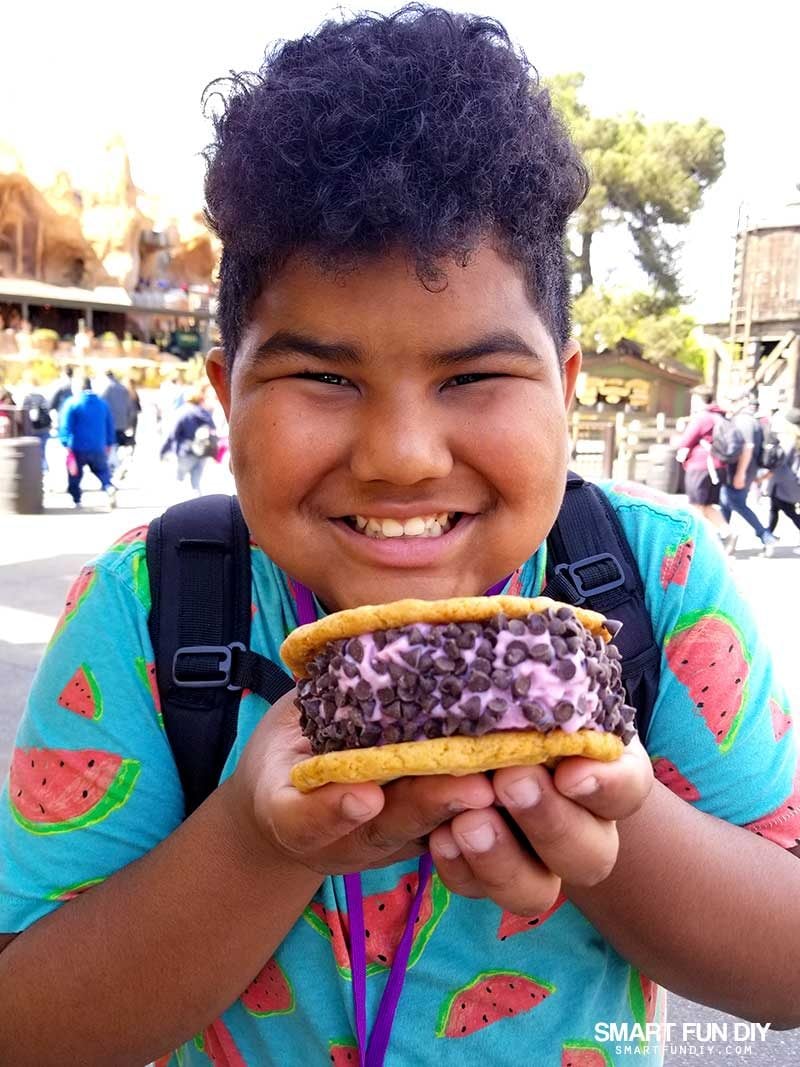 Boysenberry Ice Cream Sandwich