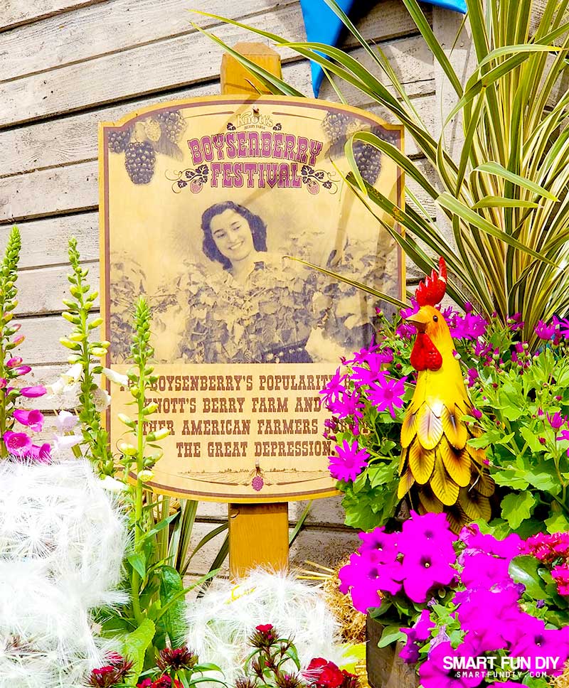 Sign and Decorations at Knott's Berry Farm Boysenberry Festival