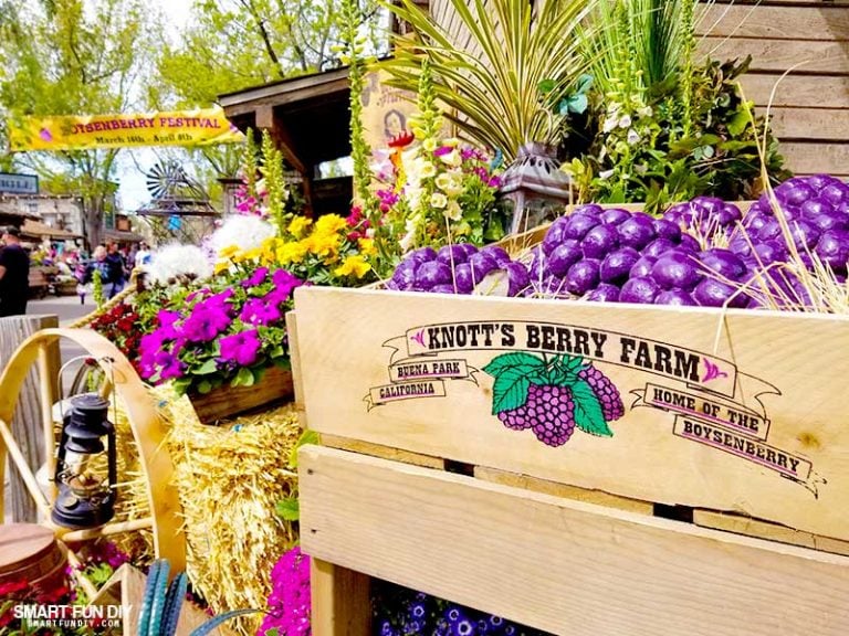 Knott’s Berry Farm Boysenberry Festival