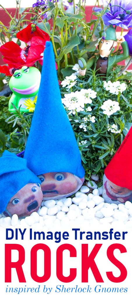 image transfer rocks that look like garden gnomes