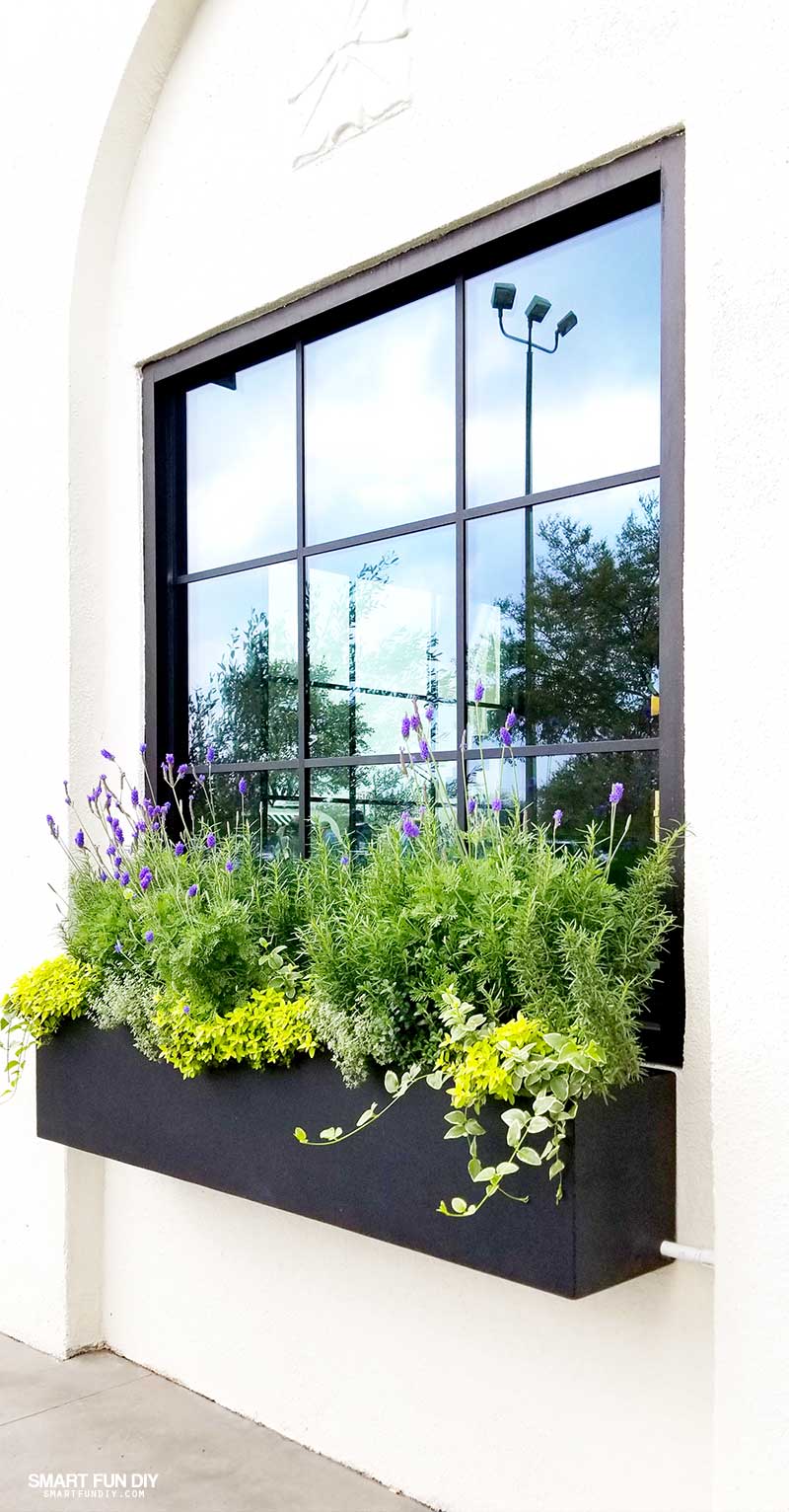 Flower Box and window at Magnolia Table restaurant