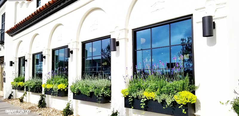 Multiple Flower Boxes and windows at Magnolia Table restaurant