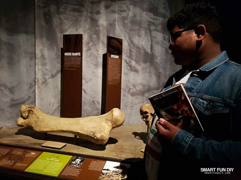 Boy looking at large bones at COSI